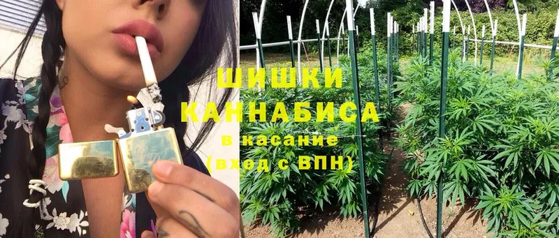 Конопля SATIVA & INDICA  Абинск 